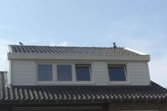 hsfile_6577